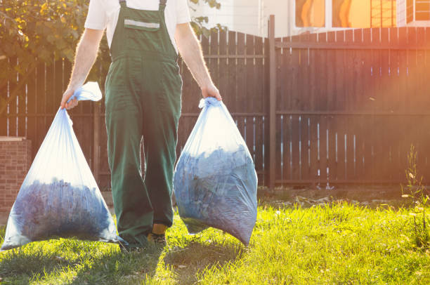 Best Office Junk Removal  in Vail, AZ